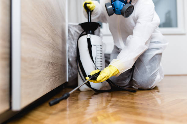 Best Residential Pest Control  in Paincourtville, LA
