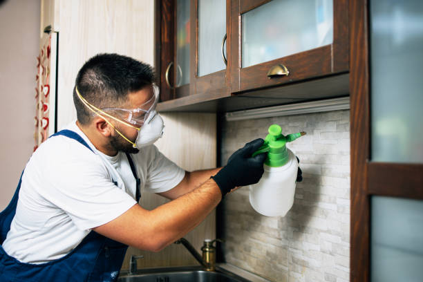 Professional Pest Control in Paincourtville, LA