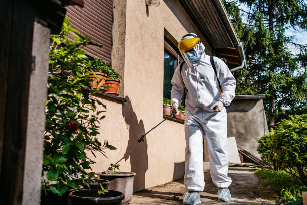 Best Best Pest Control Companies  in Paincourtville, LA