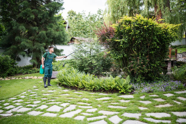 Best Mosquito Control Services  in Paincourtville, LA