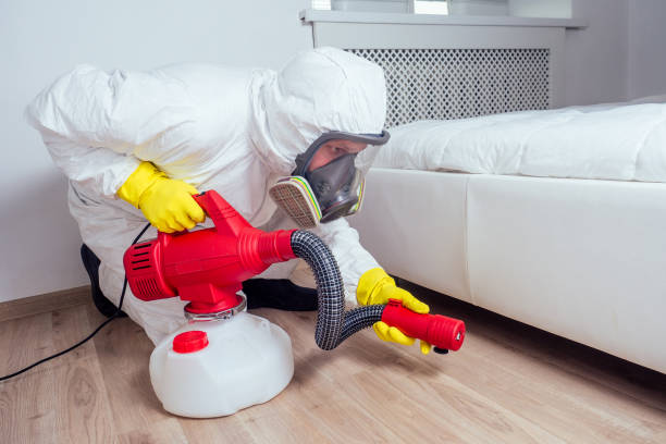 Best Termite Control Services  in Paincourtville, LA
