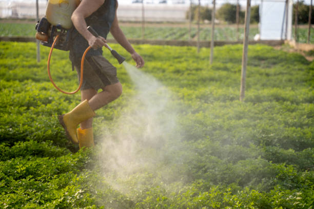 Best Wildlife Control Services  in Paincourtville, LA