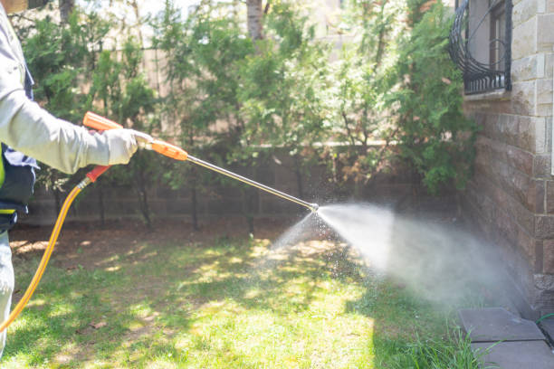 Best Flea Control Services  in Paincourtville, LA