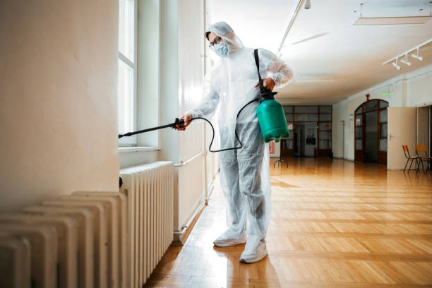 Best Wasp Removal Services  in Paincourtville, LA